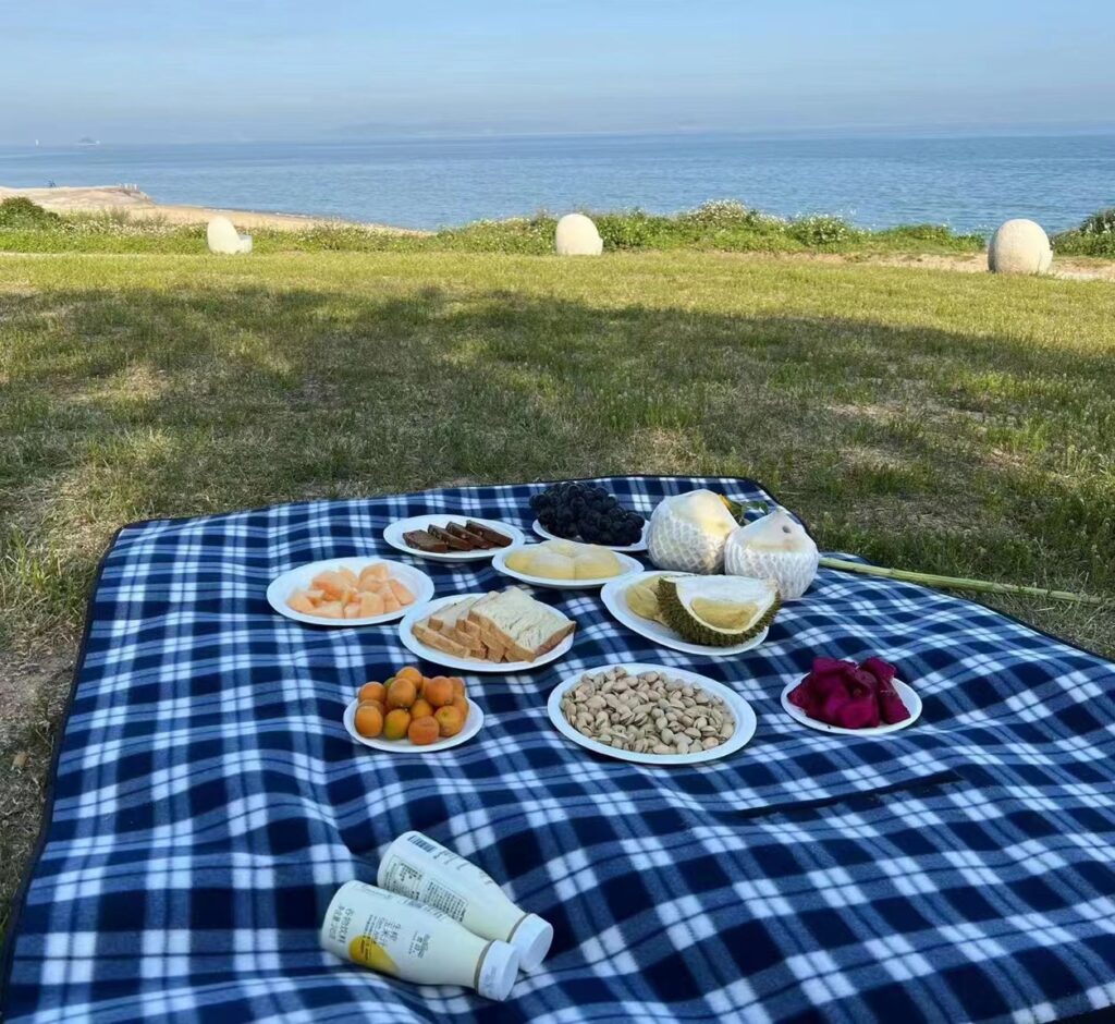 picnic